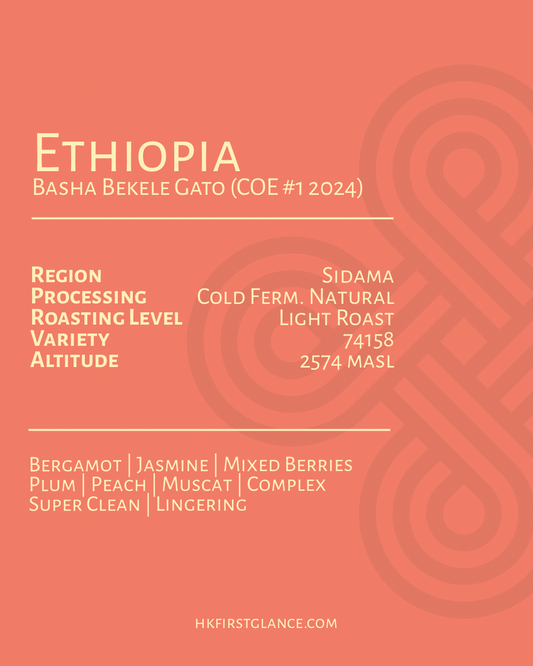 Ethiopia Basha Bekele Gato (COE #1 2024)
