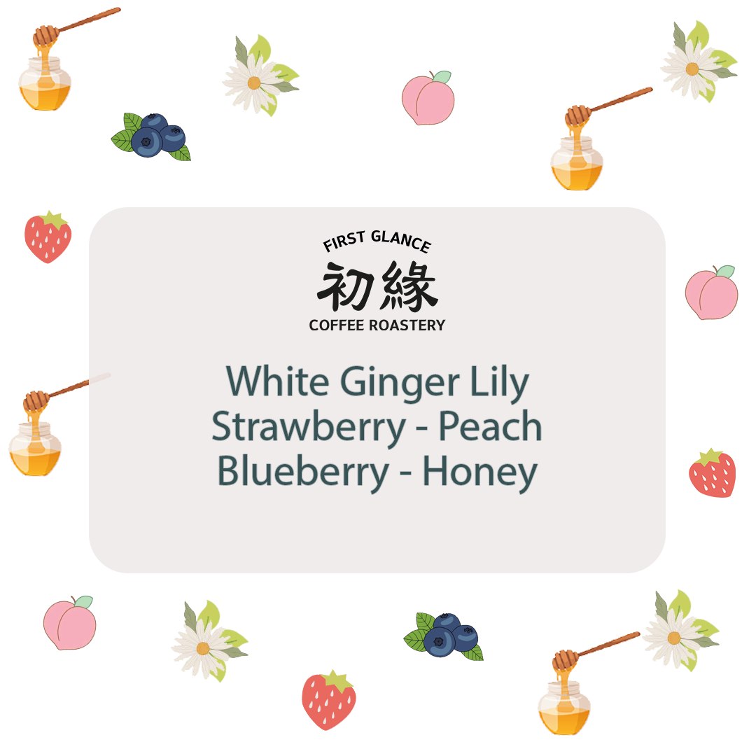 Ethiopia Guji Uraga | 埃塞俄比亞 古吉 烏拉嘎 日曬 熟果批次