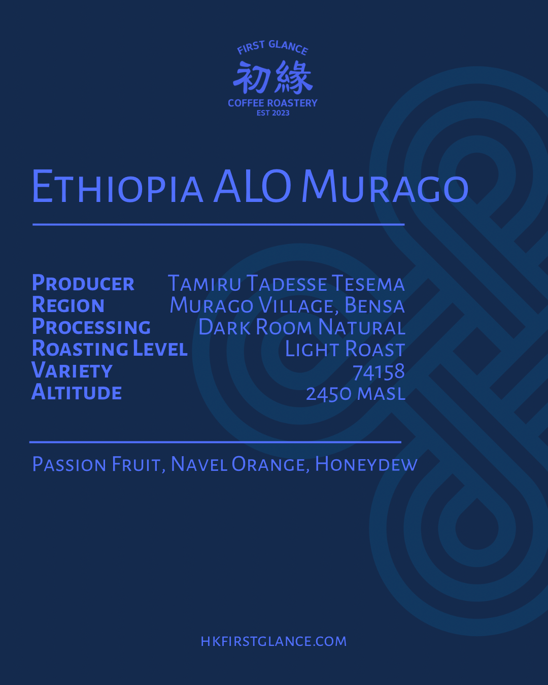 Ethiopia ALO Murago Dark Room Natural