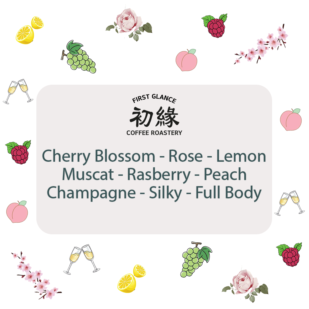 Colombia Las Marias Estate Geisha | 哥倫比亞 拉斯 瑪麗亞 藝妓 日曬