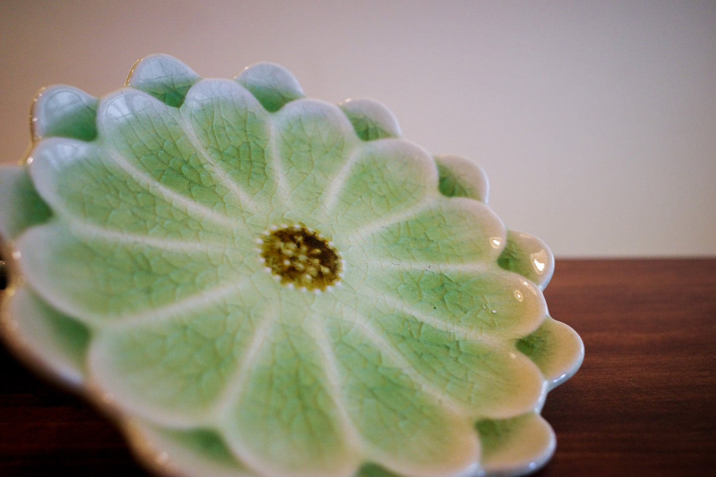 瀨戶燒 雛菊五色碟套裝