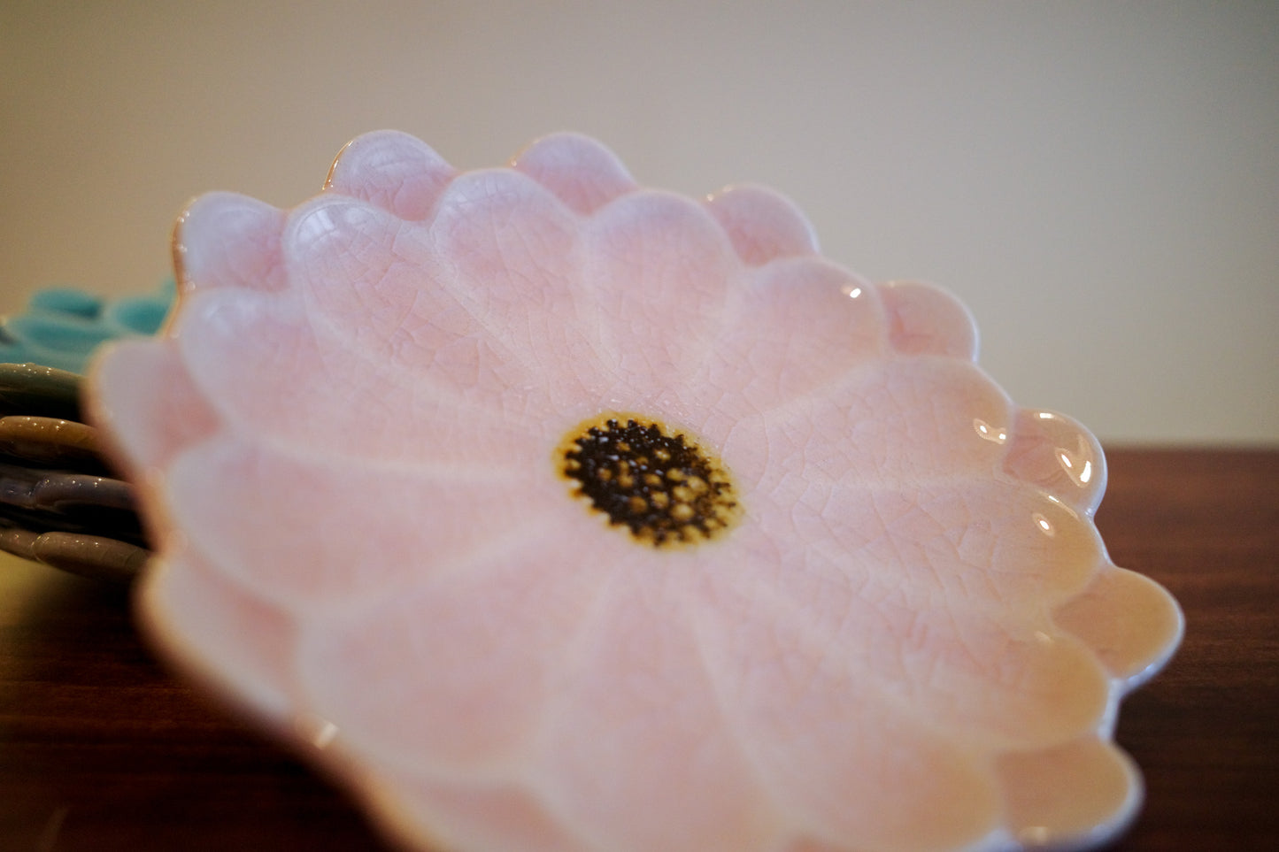 瀨戶燒 雛菊五色碟套裝