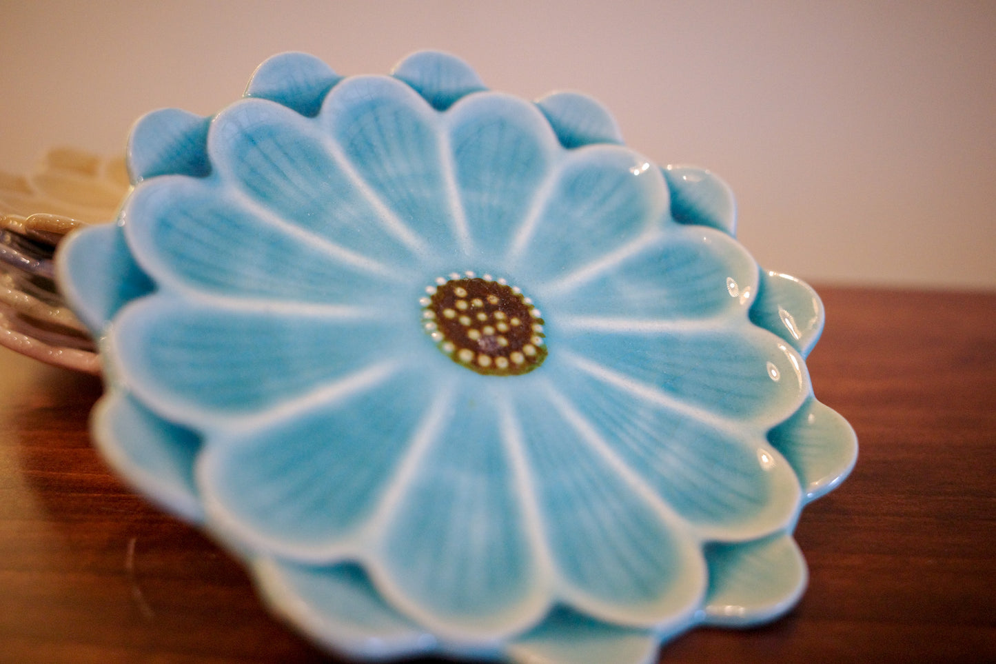 瀨戶燒 雛菊五色碟套裝