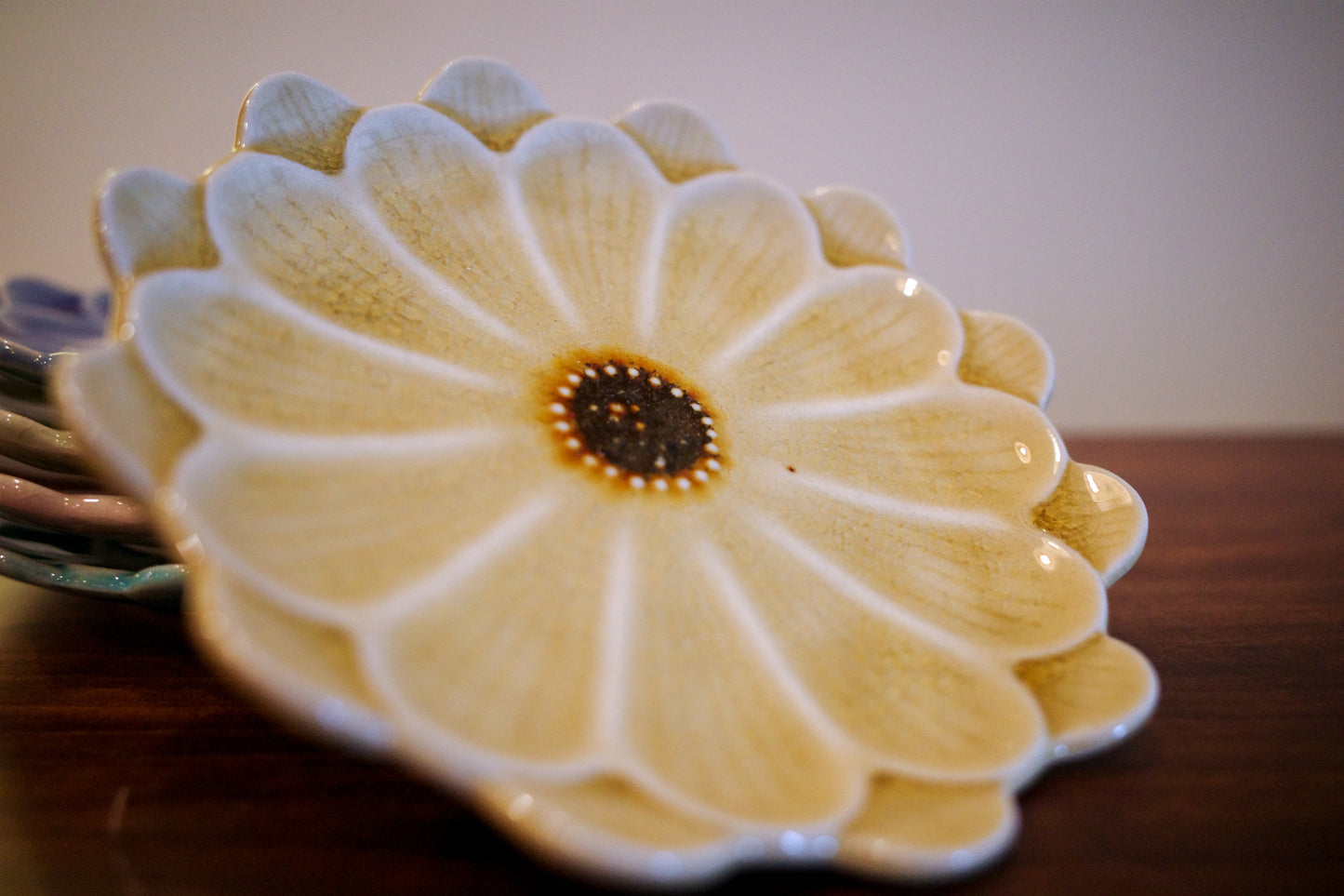 瀨戶燒 雛菊五色碟套裝