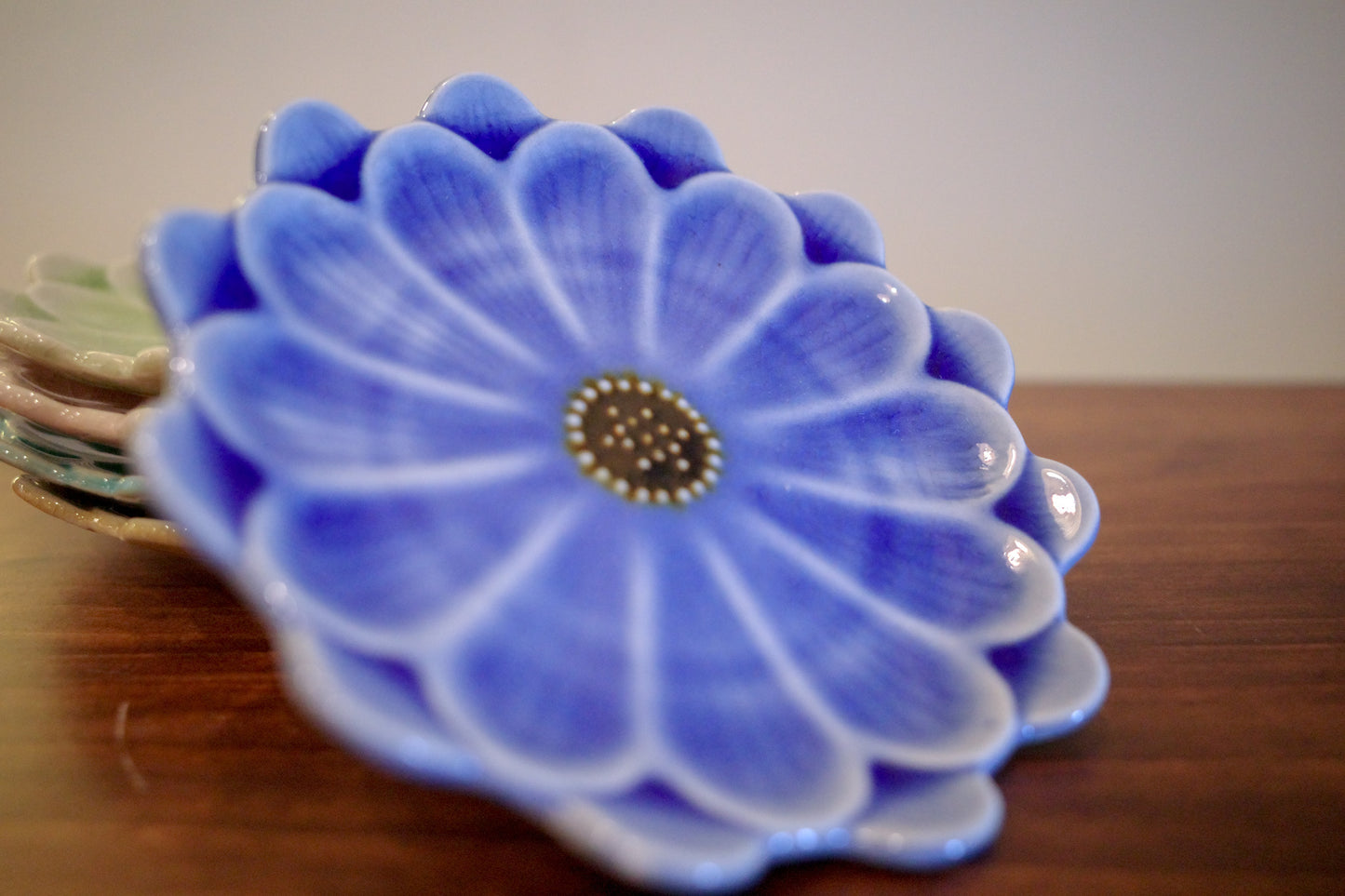 瀨戶燒 雛菊五色碟套裝