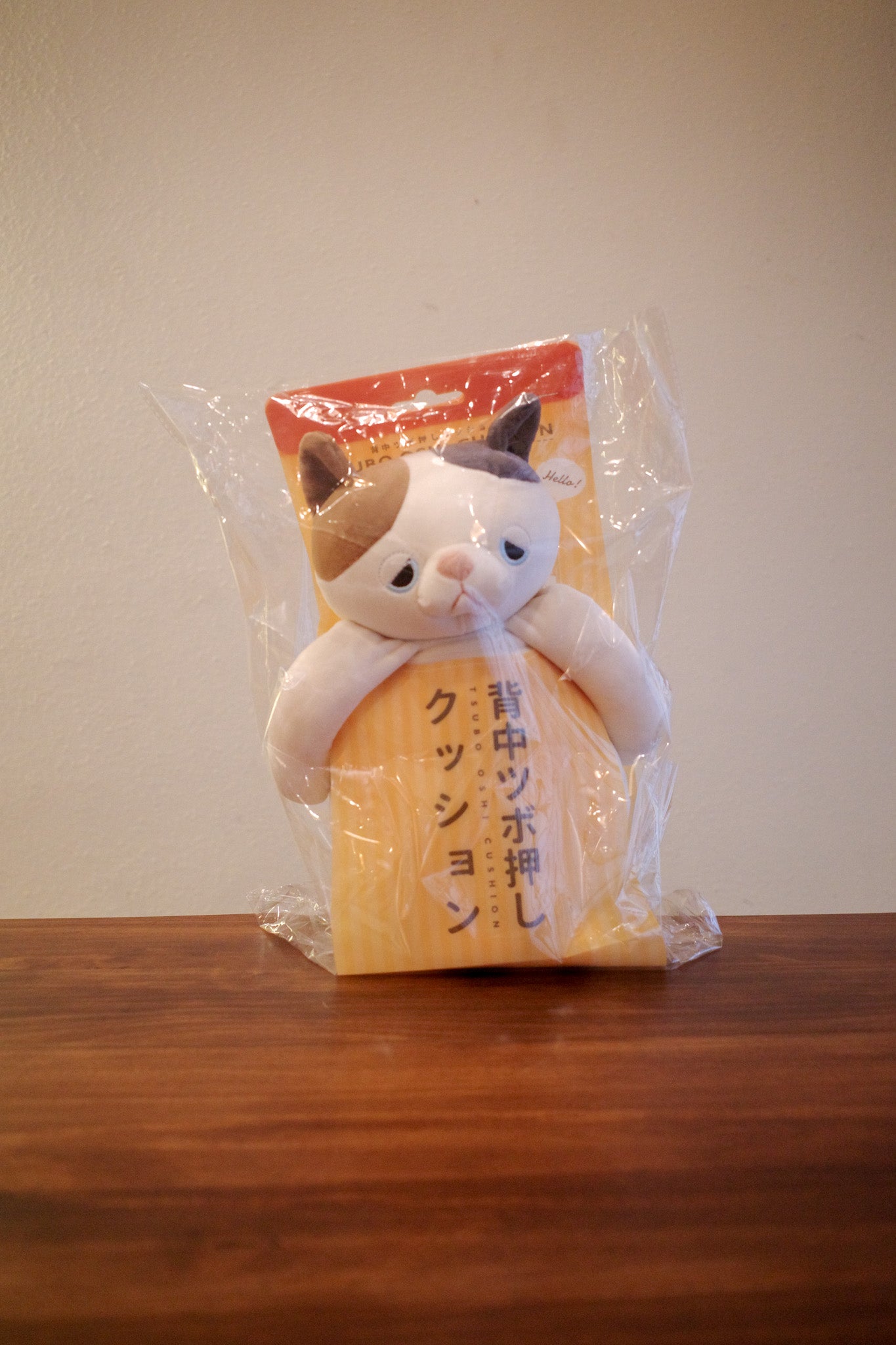 可愛小貓小狗為您改善坐姿