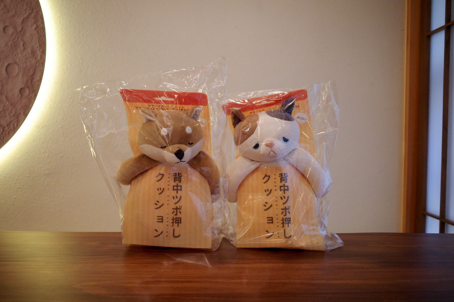 可愛小貓小狗為您改善坐姿