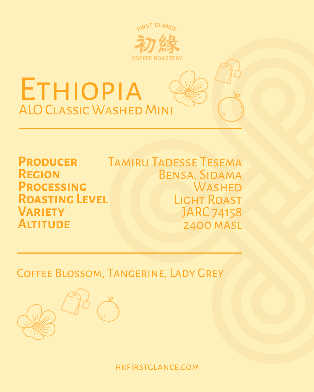 Ethiopia ALO Classic Washed Mini