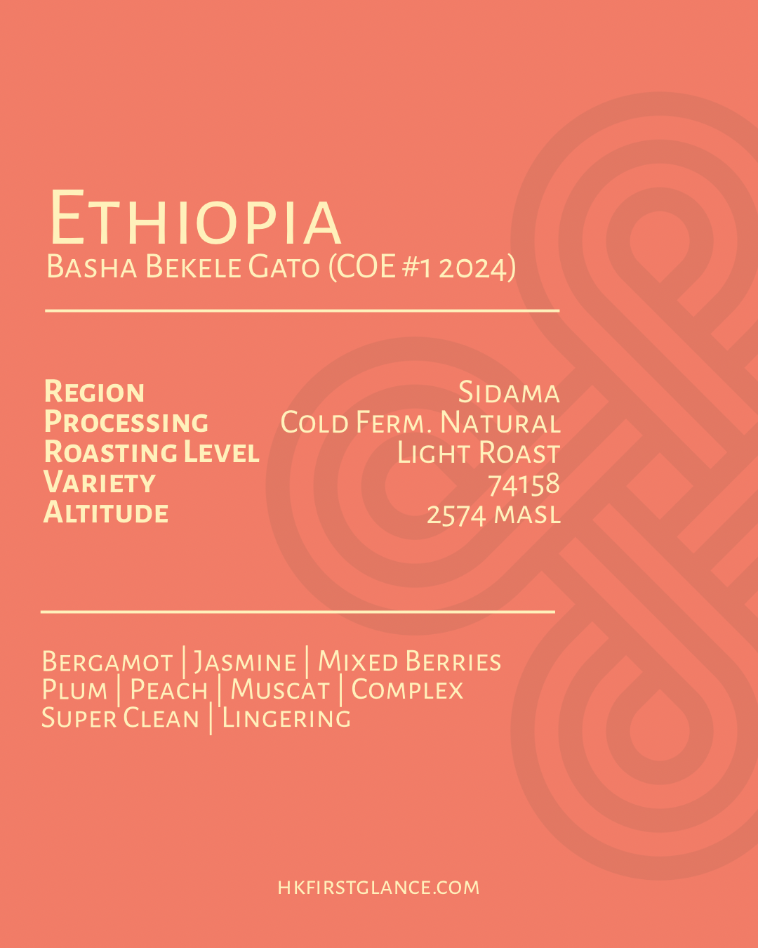 Ethiopia Basha Bekele Gato (COE #1 2024)