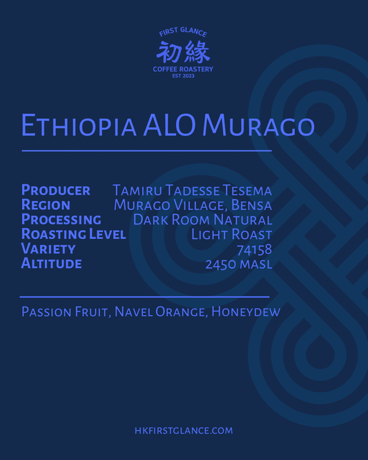 Ethiopia ALO Murago Dark Room Natural