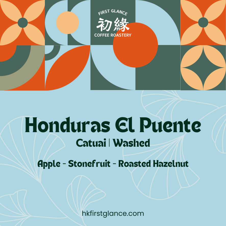 Honduras El Puente Washed