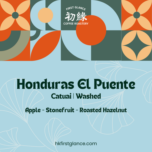 Honduras El Puente Washed