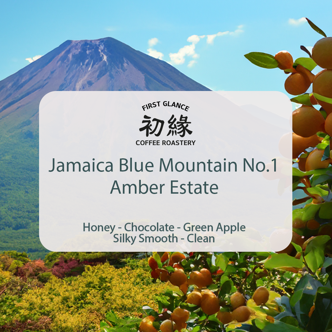 Jamaica Blue Mountain No.1 Amber Estate | 牙買加藍山琥珀莊園 No.1