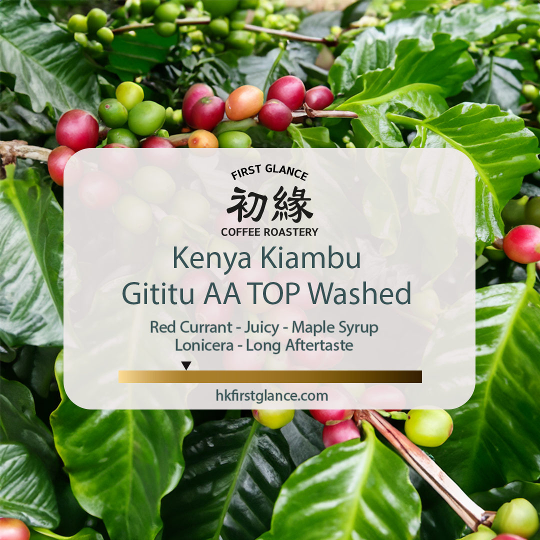 Kenya Kiambu Gititu AA TOP Washed | 肯亞 奇安布 吉堤圖 水洗 AA TOP Washed