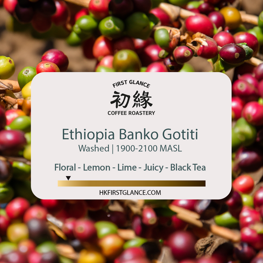 Ethiopia Banko Gotiti | 埃塞俄比亞 果丁丁 水洗